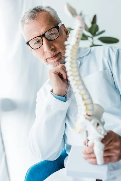 Selektiv Fokus Happy Doctor Vitt Päls Och Glasögon Håller Ryggraden — Stockfoto