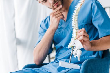 koltukta otururken omurga modeli tutan sakallı doktor kırpılmış görünümü 
