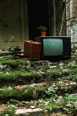 kalıp ile yeşil merdivenlerde vintage seyahat çantası yakın retro tv 