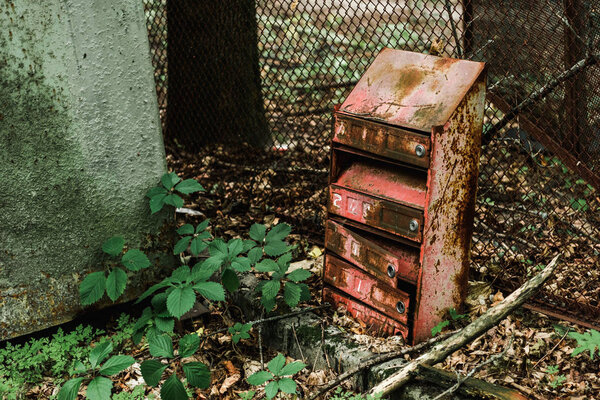 vintage and rusty mail box near green leaves 