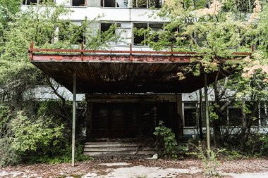 çernobil yaprakları ile yeşil ağaçların yakınında terk edilmiş bina 