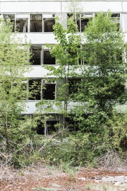çernobil yeşil ağaçların yakınında terk edilmiş bina 