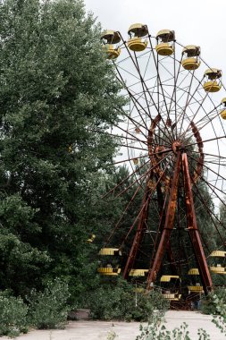 Pripyat, Ukrayna - 15 Ağustos 2019: ağaçlarla yeşil eğlence parkında terk edilmiş ve paslı dönme dolap 