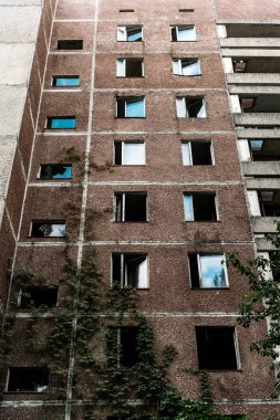 low angle view of green mold on abandoned brown building in chernobyl  clipart