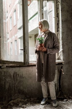 pencerelerin yakınındaki boş odada pota bitki tutan kıdemli kadın 