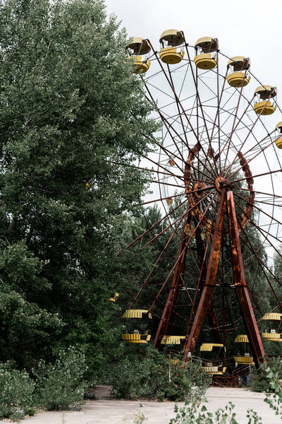 PRIPYAT, UKRAINE - AUGUST 15, 2019: abandoned and rusty ferris wheel in green amusement park with trees 