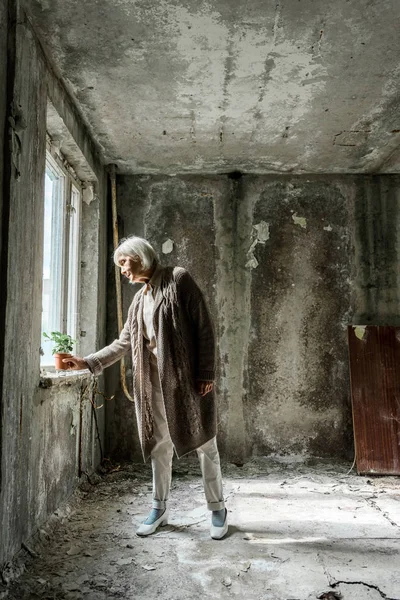 窓の近くの空き部屋にポットに小さな植物を入れて引退した女性 — ストック写真