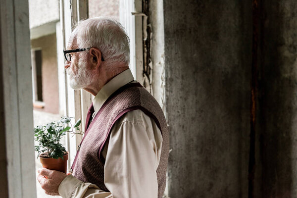 retired bearded man in glasses holding plant near window