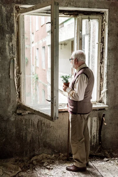 Odada Pencere Yakınında Bitki Tutan Gözlük Emekli Sakallı Adam — Stok fotoğraf