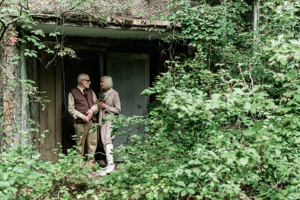 Starší Muž Který Dívá Důchodce Rostlině Hrnci Zatímco Stojí Blízko — Stock fotografie