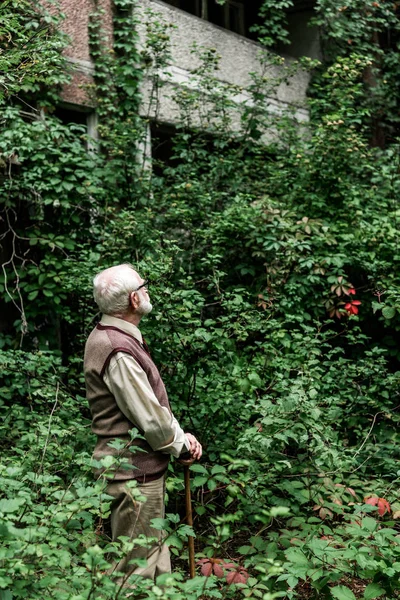 Senior Man Glasses Looking House Overgrown Leaves — Zdjęcie stockowe