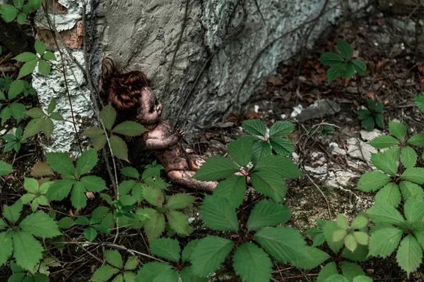 Stropní Pohled Spálenou Dětskou Panenku Blízkosti Zelených Listů Kmene Stromů — Stock fotografie