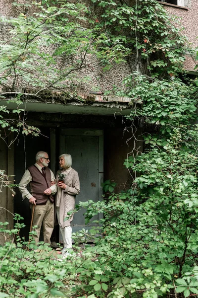 Starszy Mężczyzna Patrząc Żonę Małym Zakładzie Doniczce Stojąc Pobliżu Domu — Zdjęcie stockowe