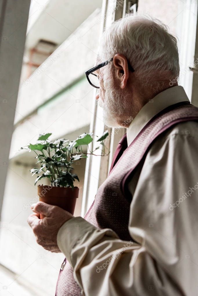 retired bearded man in glasses holding plant 