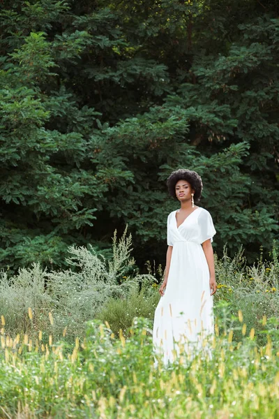 Foco Seletivo Bela Menina Americana Africana Campo Com Flores Silvestres — Fotografia de Stock