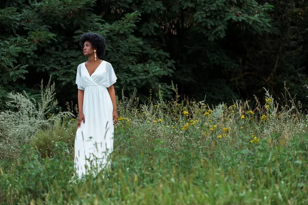 Messa Fuoco Selettiva Bella Donna Afro Americana Campo Con Fiori — Foto Stock