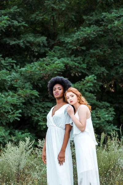 Attractive African American Redhead Girls Field — Stock Photo, Image