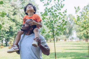 Mutlu Afro-Amerikan babası parkta sevimli oğlunu sırtında taşıyor.