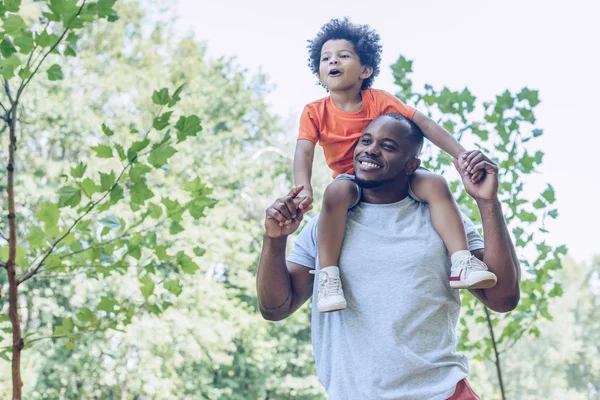 Vrolijk Afrikaanse Amerikaanse Man Meeliften Schattige Zoon Terwijl Wandelen Park — Stockfoto