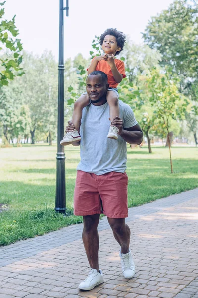 Genç Afro Amerikan Babası Parkta Sevimli Oğlunu Sırtında Taşıyor — Stok fotoğraf