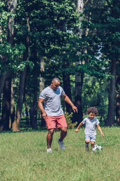 Glücklicher Afrikanisch Amerikanischer Vater Und Sohn Beim Fußballspielen Park — Stockfoto