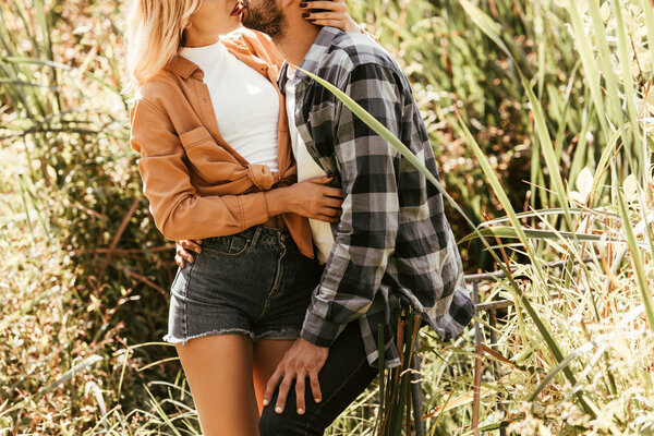 обрезанный вид человека в клетчатой рубашке, обнимающего подругу в зарослях сажи
 