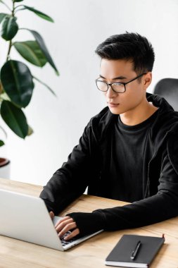 Gözlüklü Asyalı hacker masada oturuyor ve dizüstü bilgisayar kullanıyor. 