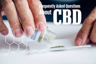 cropped view of man making joint of medical cannabis with frequently asked questions about cbd illustration clipart