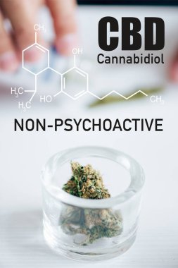Cam şişedeki tıbbi marihuana tomurcuklarının seçici odak noktası ve psikoaktif olmayan cbd çizimi