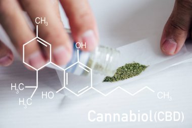 Cbd molekülü ile tıbbi kenevir birleşimi yapan bir adamın kırpılmış görüntüsü