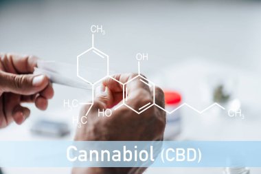Cbd moleküllü tıbbi esrar taşıyan bir adamın görüntüsü.