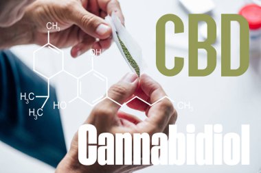cropped view of man holding blunt of medical cannabis with cbd molecule illustration clipart
