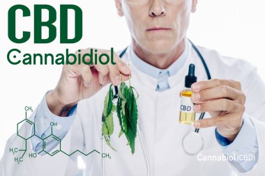 Beyaz önlüklü doktorun elinde cbd yağı ve marihuana yaprağı vardı. Cbd molekülü ile beyaza izole edilmişti.