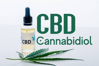 Yeşil marihuana yaprağının yanında şişedeki cbd yağı, cbd illüstrasyon eşliğinde beyaza izole edilmiş.