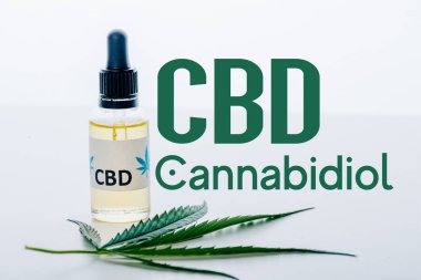 cbd oil in bottle near green marijuana leaf isolated on white with cbd illustration clipart