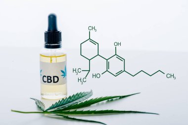 cbd oil in bottle near green marijuana leaf isolated on white with cbd molecule illustration clipart