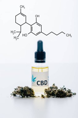 cbd oil in bottle near medical marijuana buds isolated on white with cbd molecule illustration clipart