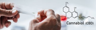Tıbbi kenevir ve cbd molekülleriyle yuvarlanan bir adamın panoramik görüntüsü