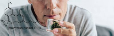 Cam kabın içinde tıbbi kenevir tutan tişörtlü adam görüntüsü, thc moleküllü panoramik çekim