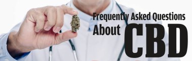 panoramic shot of doctor in white coat holding medical marijuana bud isolated on white with frequently asked questions about cbd illustration clipart