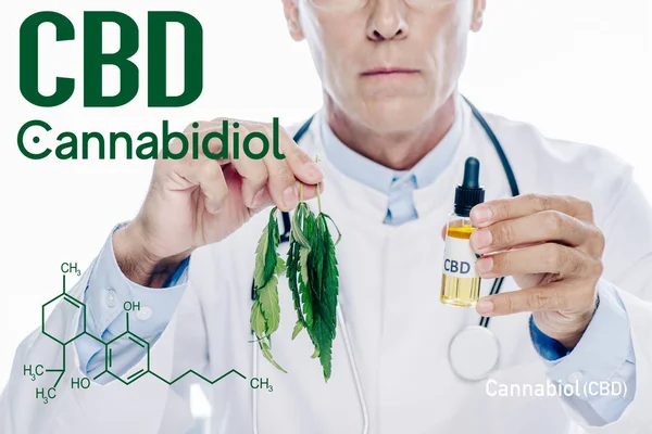 Cropped View Doctor White Coat Holding Cbd Oil Marijuana Leaf — Stock Photo, Image