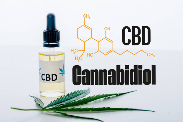 cbd масло в бутылке рядом с зеленым листком марихуаны изолированы на белом с CBD молекулы иллюстрации
