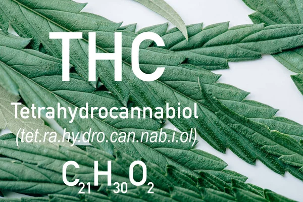 Beyaz Arka Planda Tıbbi Marihuana Yaprağının Görüntüsünü Thc Formülü Illüstrasyonuyla — Stok fotoğraf
