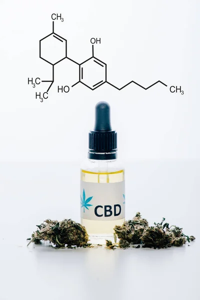 Cbd Oil Bottle Medical Marijuana Buds Isolated White Cbd Molecule — Stock Photo, Image