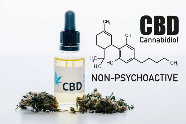 Cbd Oil Bottle Medical Marijuana Buds Isolated White Cbd Molecule — Stockfoto