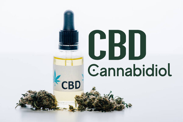 cbd масло в бутылке рядом с медицинской марихуаны почки изолированы на белом с CBD иллюстрации
