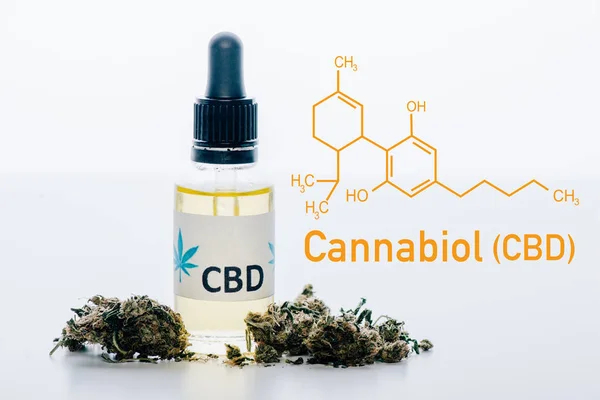药用大麻芽附近瓶子中的Cbd油 用Cbd分子图解从白色中分离出来 — 图库照片
