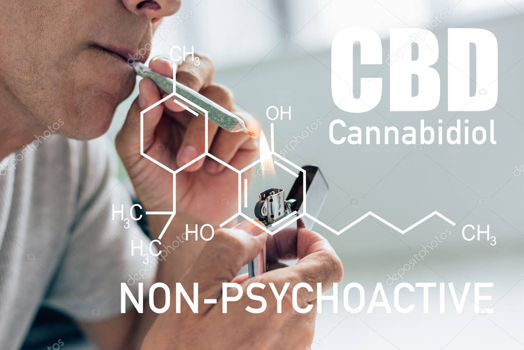 cropped view of man lighting up blunt with medical cannabis near non-psychoactive cbd illustration