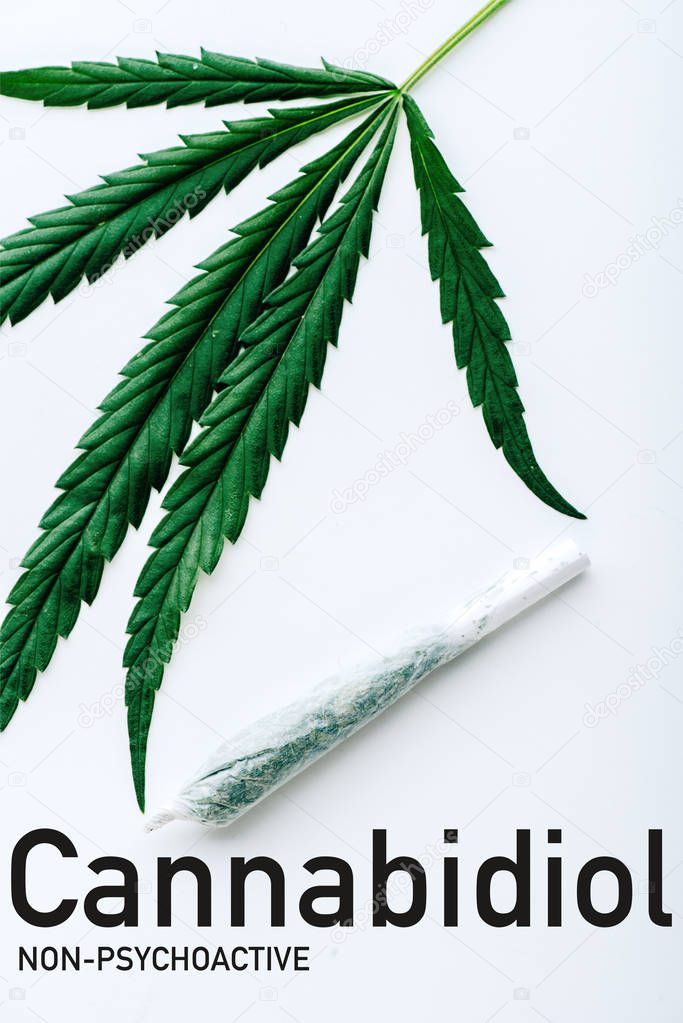 top view of medical marijuana leaf and joint on white background with non-psychoactive cbd illustration