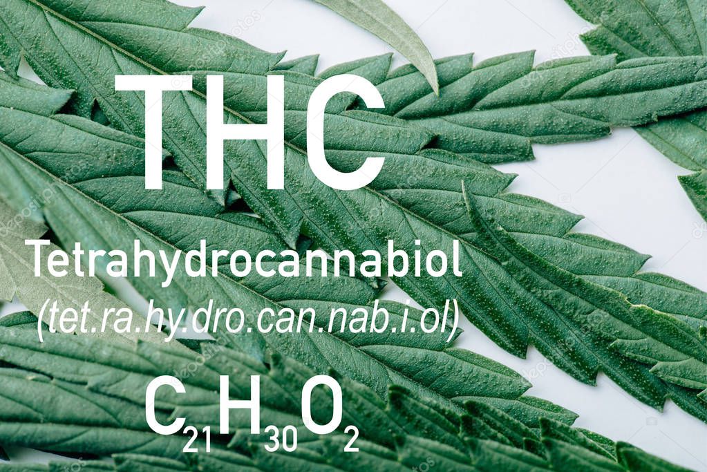 close up view of medical marijuana leaf on white background with thc formula illustration